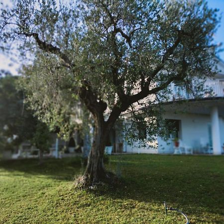Villa Margherita Сан-Джованні-Театіно Екстер'єр фото